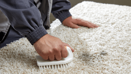 Professional Rug Cleaning Rockbank